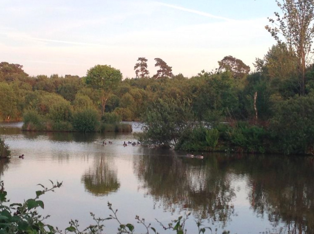 Fishing near to Smytham Holiday Park