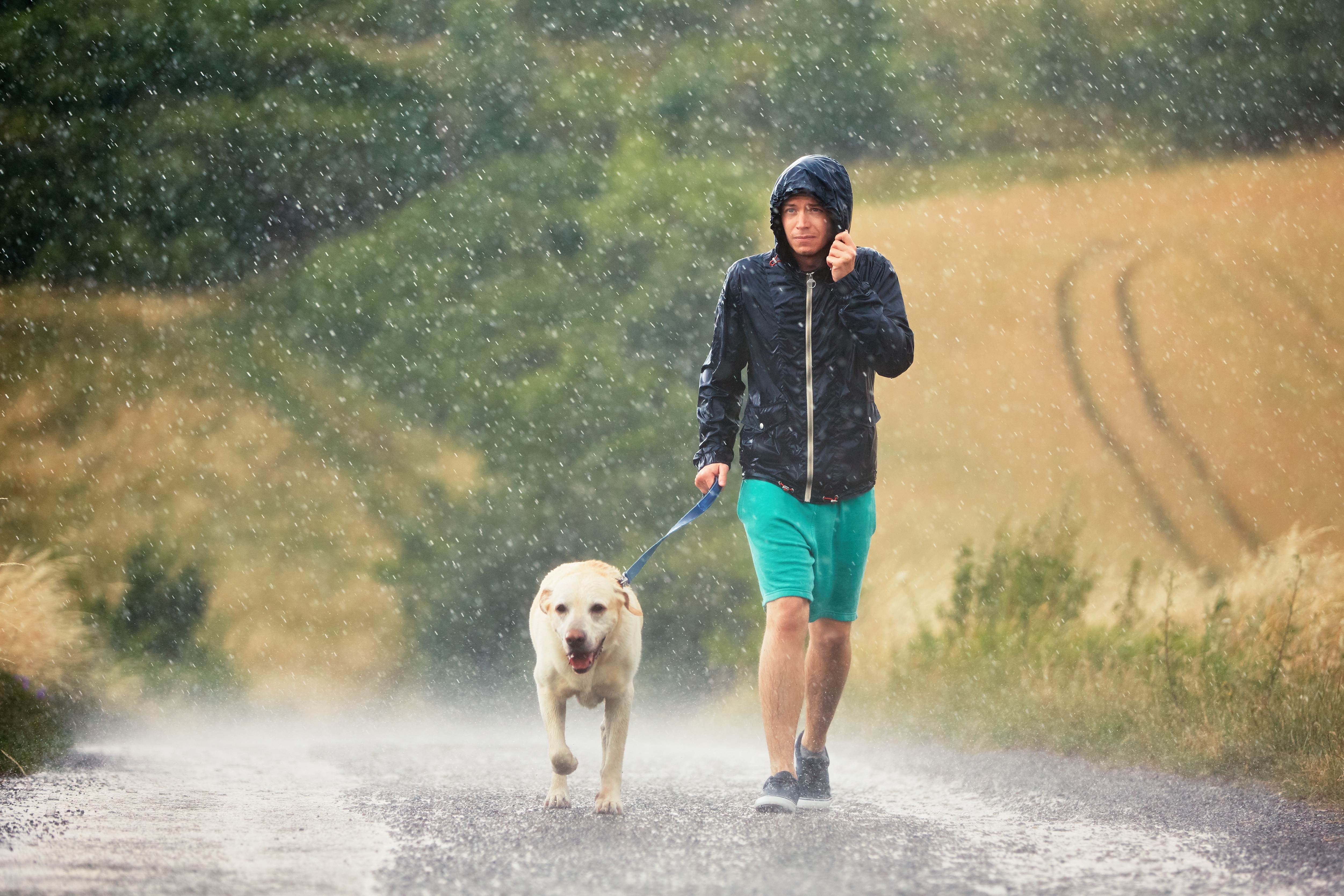 rainy-devon-holiday