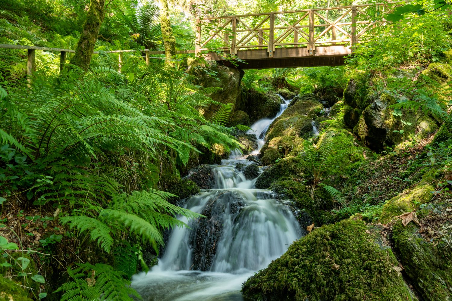 Finlake Resort and Spa- Top 10 things to do when visiting