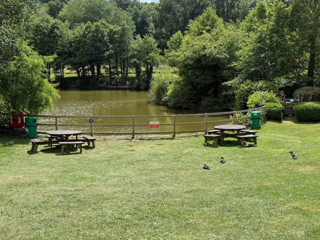Finlake Resort and Spa