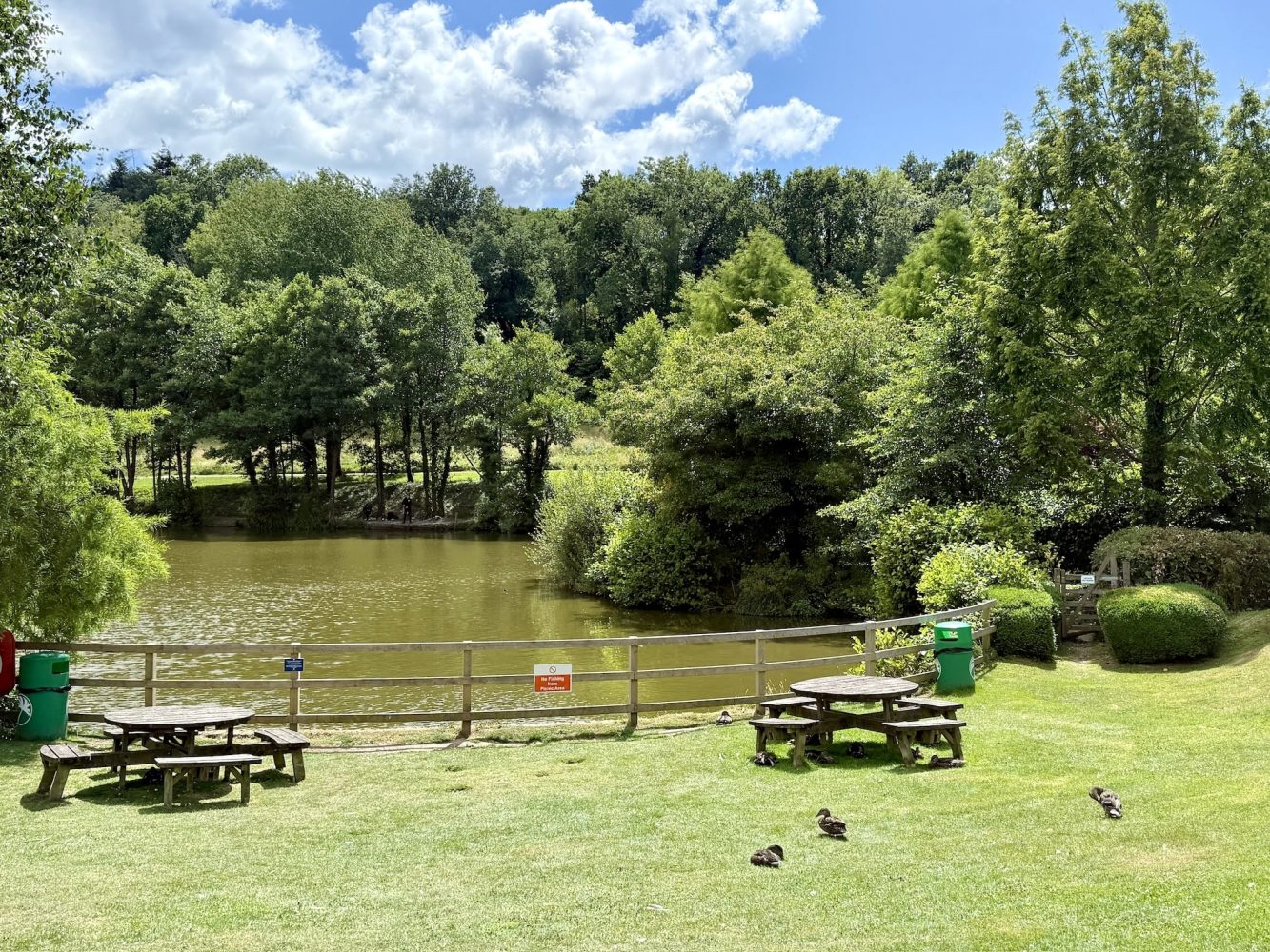 Finlake Resort Lodges for Sale