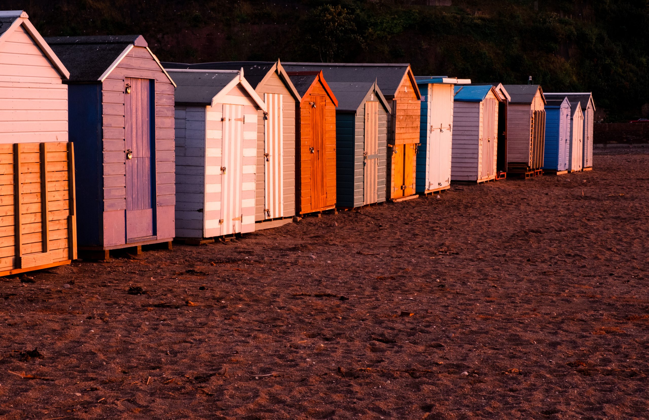 Things to do in Shaldon