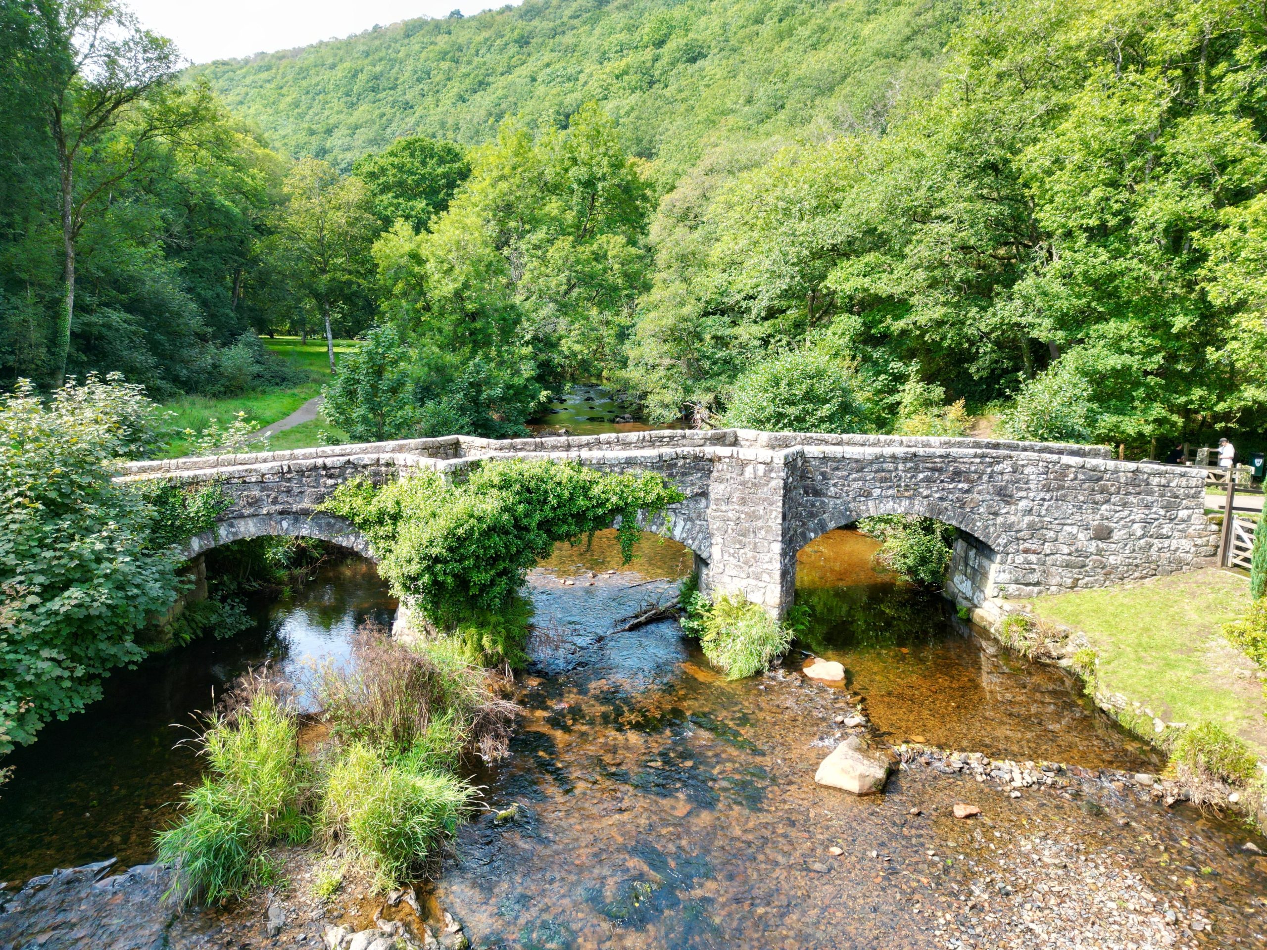 Holmans Wood Holiday Park - Top 5 walks near Holmans Wood