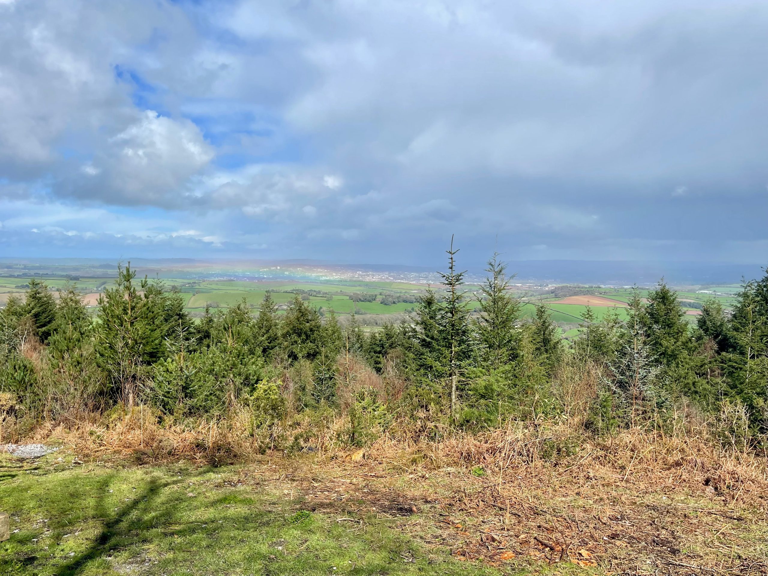 Holmans Wood Holiday Park - Top 5 walks near Holmans Wood