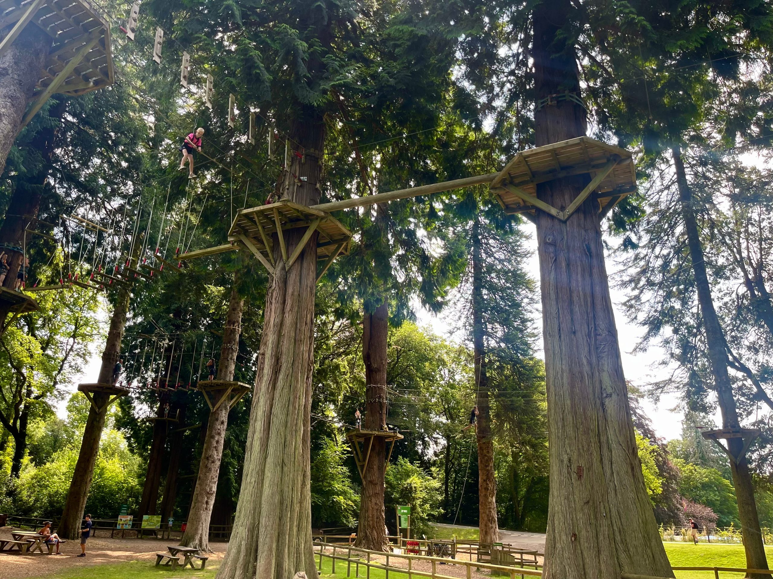 Holmans Wood Holiday Park - Top 5 walks near Holmans Wood